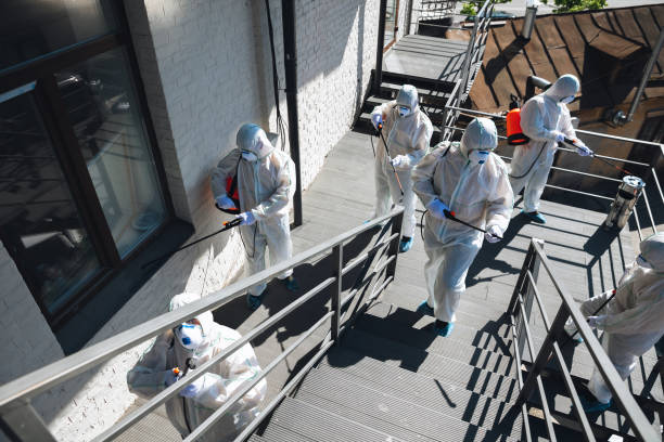 Best Emergency Mold Remediation  in Dutch Island, GA