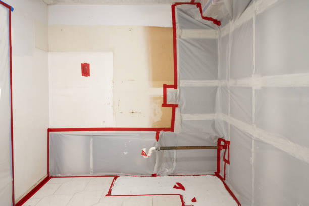 Best Attic Mold Removal  in Dutch Island, GA
