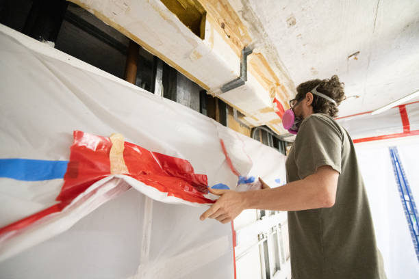 Best Mold Odor Removal Services  in Dutch Island, GA