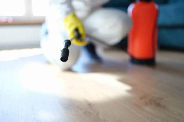 Best Mold Remediation for Healthcare Facilities  in Dutch Island, GA