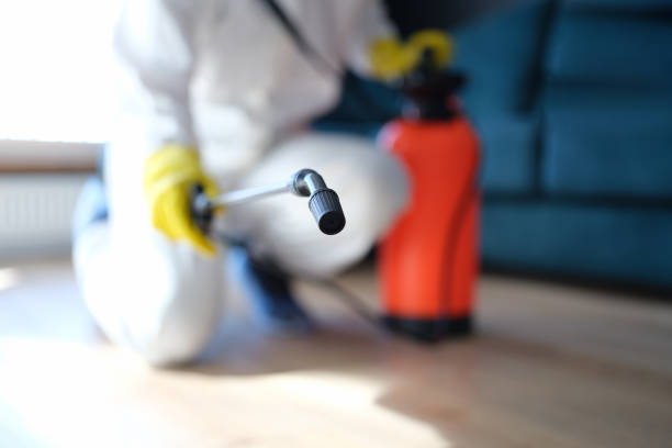 Forensic Mold Investigation in Dutch Island, GA