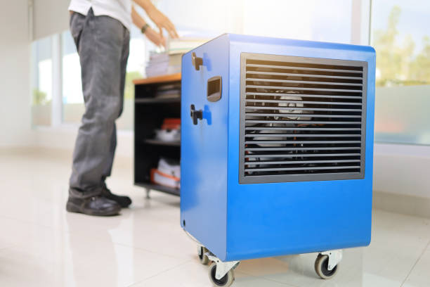 Best Dehumidification Services  in Dutch Island, GA