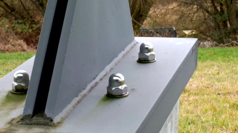 Best Mold Remediation for Vacation Homes  in Dutch Island, GA