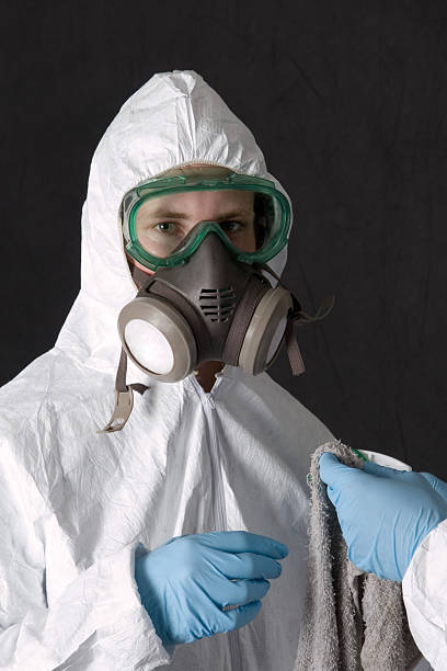 Reliable Dutch Island, GA Mold Removal Solutions